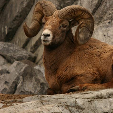 Facts About Badlands National Park | USA Today