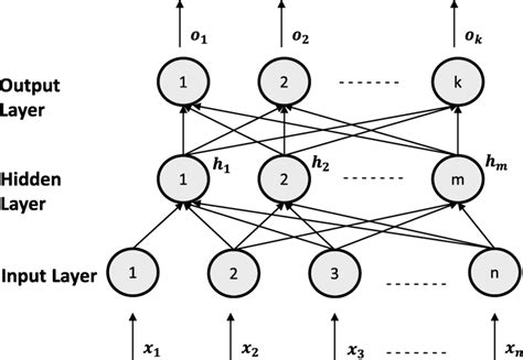 Illustration of a general MLP architecture | Download Scientific Diagram