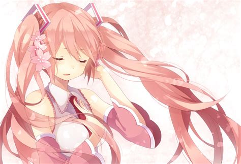 Sakura Miku [Vocaloid] : awwnime