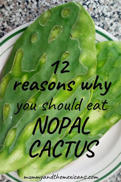 12 Amazing Health Benefits of the Nopal Cactus and how to eat it in ...