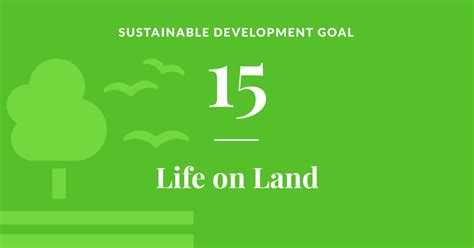 Goal 15: Life on Land - United Nations Sustainable Development Goals (SDGs) - Research Guides at ...