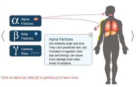 All About Radiation Images - All About Radiation