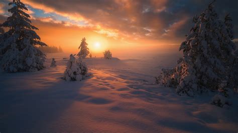 Landscape And Trees Covered With Snow During Winter Sunset HD Nature Wallpapers | HD Wallpapers ...