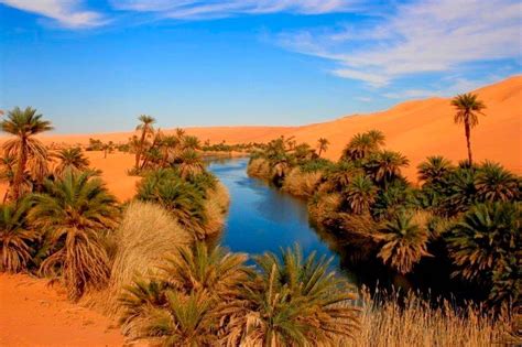 Fantásticos lagos de sal que se formam entre as dunas do deserto - greenMe