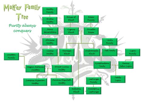 The Malfoy Family Tree by Aimi-chan80 on DeviantArt