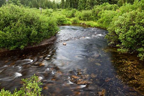 Middle Fork of the South Platte River : Above Montgomery Reservoir