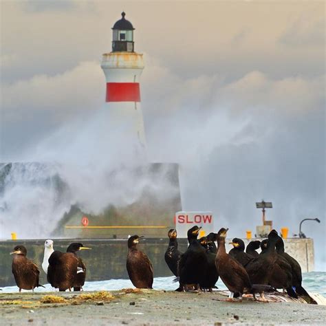 Lighthouse Fraserburgh Harbour, Aberdeenshire Scotland Beacon Tower, Aberdeenshire Scotland,