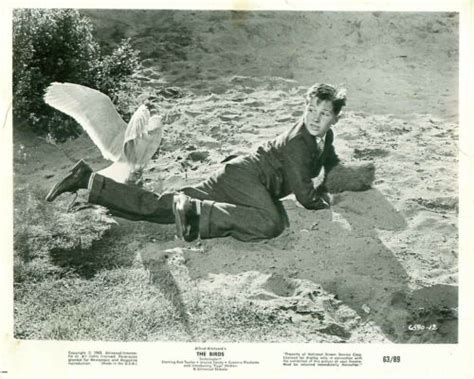 1963 Alfred Hitchcock's The Birds Movie Still Photo Bird Attack Boy 63/89 | eBay