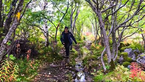 Hiking-Lofoten-Islands - The Travel Bible