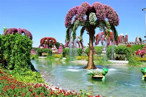 Dubai Miracle Garden & Butterfly Garden – Tickets & Infos