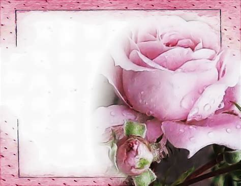 Christian Images In My Treasure Box: Rose Border Backgrounds
