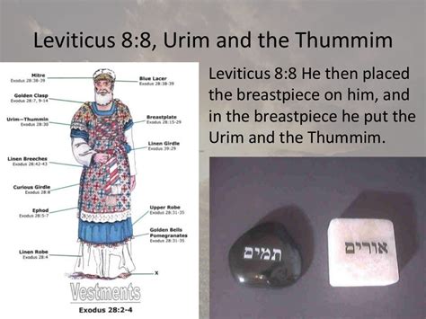 Leviticus 8-9, Aaron and His Sons Ordained, Priests Ministry Begins,