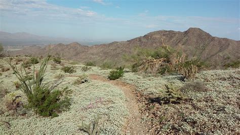 America's Largest City Park: South Mountain in Phoenix | AZ Wonders