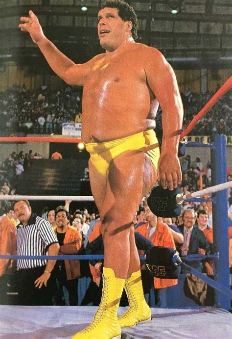 André the Giant | Wwe legends, Famous wrestlers, Wrestling superstars