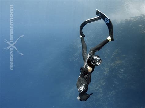 Freediving Training Tips #11 – Freediving Fins & Technique - FreeDive International