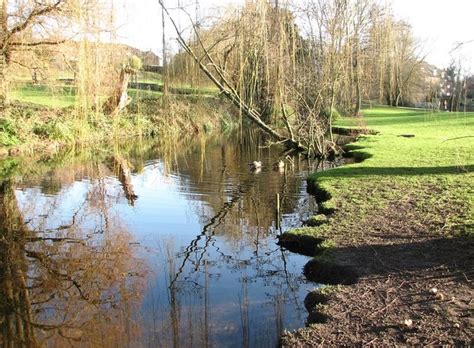 Stream in Wensum Park © Evelyn Simak cc-by-sa/2.0 :: Geograph Britain and Ireland