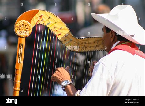 Traditional jarocho musician from Veracruz playing for tourists in ...