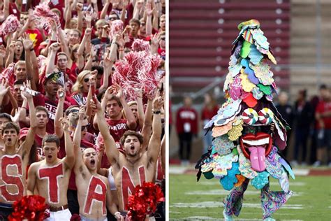 Stanford Tree Ccllege football mascot gets the boot after on-field stunt