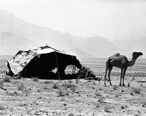 Nomadic Tents Can Be Seen In A Mountainous Area Outside Of Kabul History (36 x 24) - Walmart.com ...