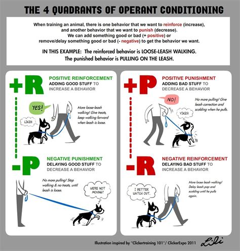 Classical Conditioning Examples | If you have any questions don’t hesitate to contact me with ...