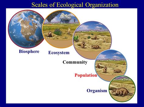 Biomes and Ecosystems - Duquette Science