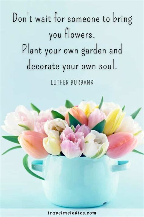 Beautiful Flower & Spring Quotes to Celebrate the Season