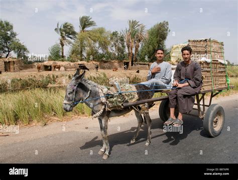 Nile Delta Farming Stock Photos & Nile Delta Farming Stock Images - Alamy