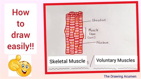 Oneclass Draw The Skeletal Structure Of A Dihalide That Could Be Used | My XXX Hot Girl