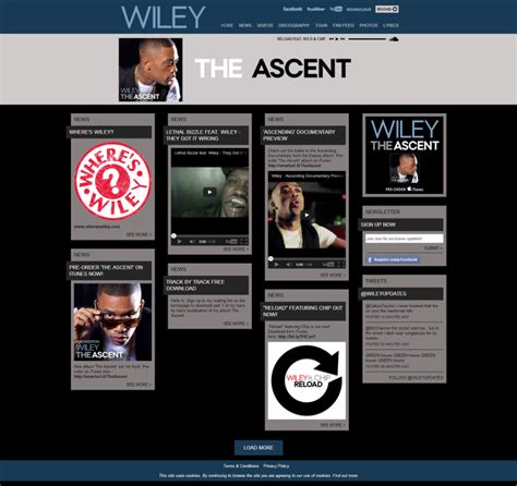 Wiley Website | Native Noise