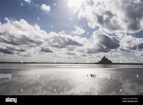 France, Manche, Group crossing the Mont-Saint-Michel, the Mont-Saint-Michel bay (aerial view ...