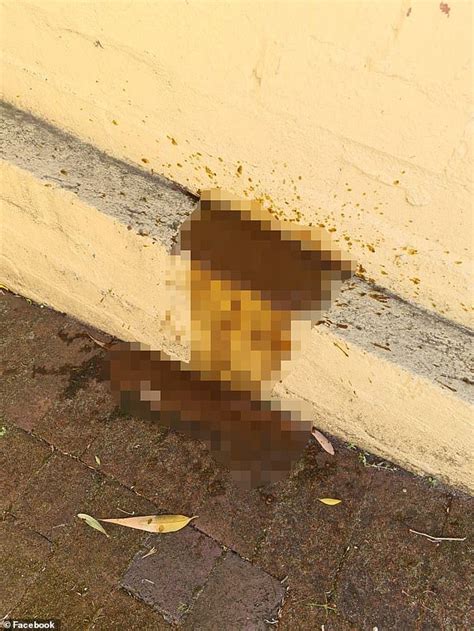 Furious mum reveals how a female poo jogger left a disgusting surprise ...