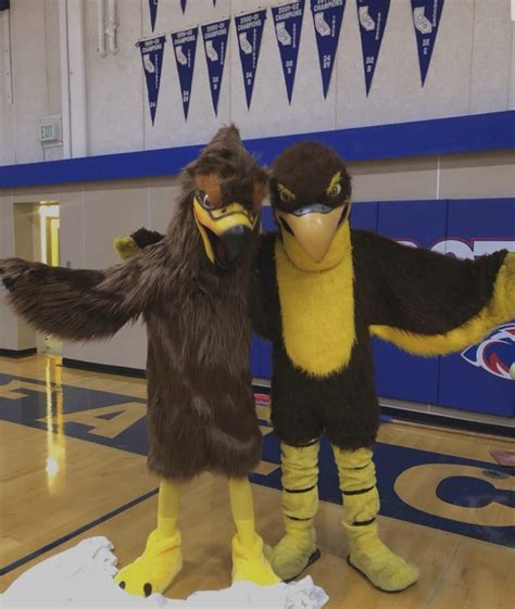 School Spirit Soars With New Falcon Force Faces | CB Talon