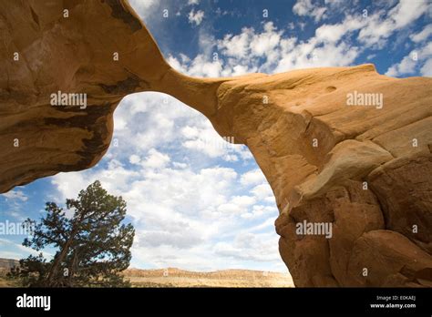 Metate Arch, Devil's Garden, Grand Staircase-Escalante National ...