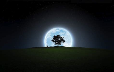 Moon and Tree Wallpapers - Top Free Moon and Tree Backgrounds - WallpaperAccess