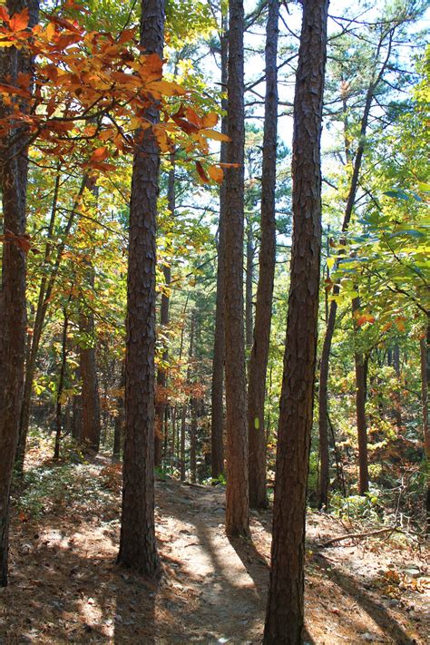 Pinnacle Mountain: Base Trail - 3 mi | Arklahoma Hiker