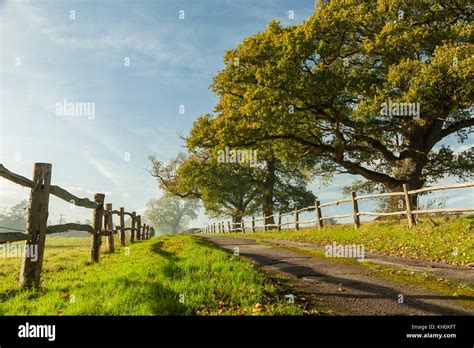 Autumn in the West Sussex countryside, England Stock Photo - Alamy