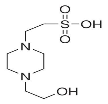 H006 HEPES - Caisson Labs