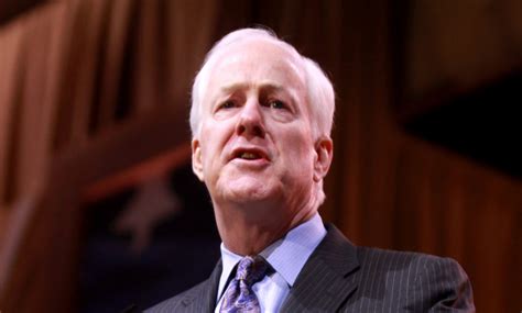 Everyone piles on after John Cornyn posts one of the dumbest tweets of ...