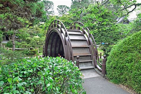 A Guide to the Japanese Tea Garden in Golden Gate Park