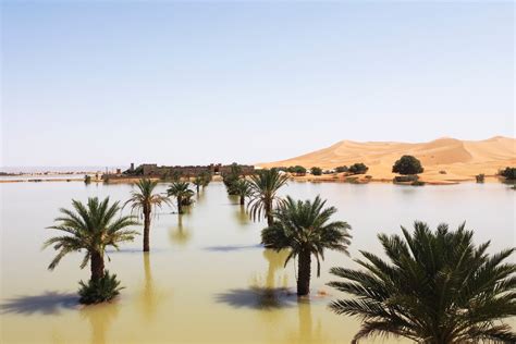 Flooding hits Sahara Desert after extremely rare rainfall | The Independent