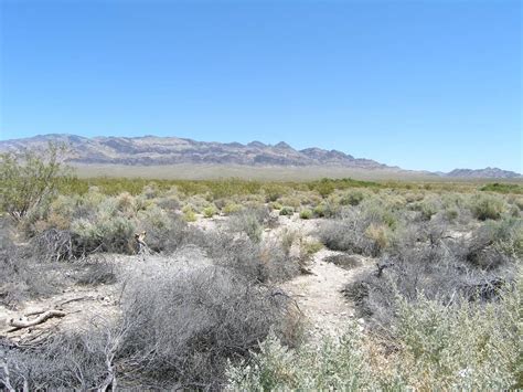 Free picture: desert, grass