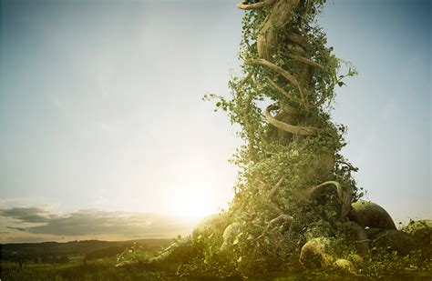 Beanstalk (6) | Images :: Behance