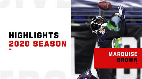 Baltimore Ravens wide receiver Marquise Brown highlights | 2020 season