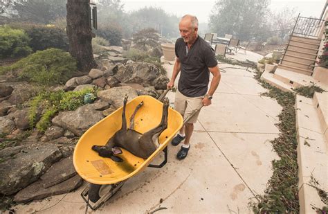 16 Devastating Pictures From The Aftermath Of California's Wildfires