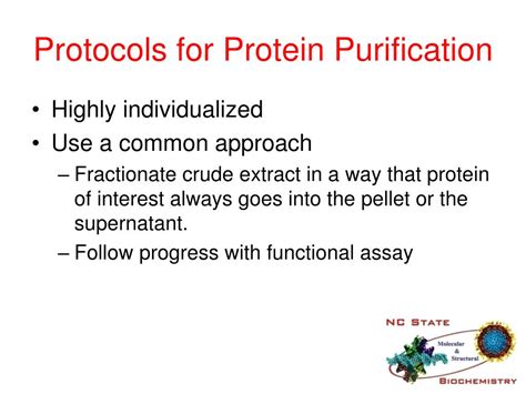 PPT - Protein Purification Lab C2 Pages 115 to 168 PowerPoint ...