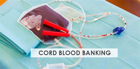 Cord Blood Banking Prep in Pregnancy - Stork Mama