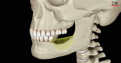 Residual Ridge Resorption: The Unstoppable Phenomenon