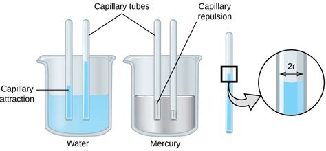 11.2 Properties of Liquids – Chemistry Fundamentals