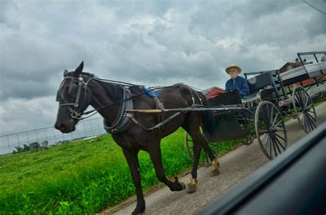 Tomorrow Somewhere: Amish Farming Fun and Martin Van Buren Mutton-Chops