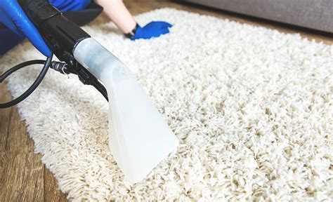 How to Clean a Shag Rug | Cleaning area rugs, Rug cleaning diy, Clean ...